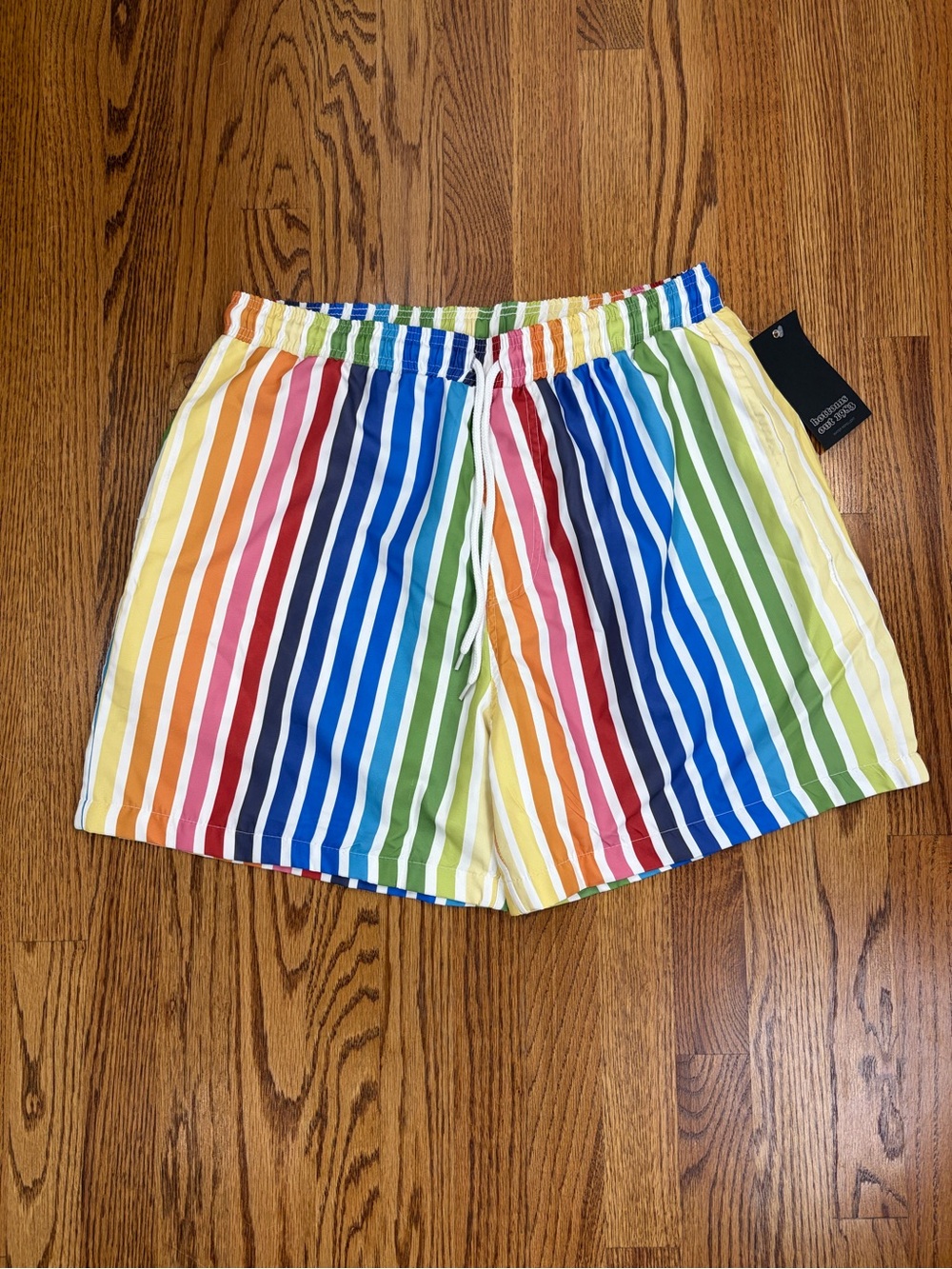 Rainbow Multicolor Vertical Stripe Swim Trunks with Mesh Lining & Drawstring (L)